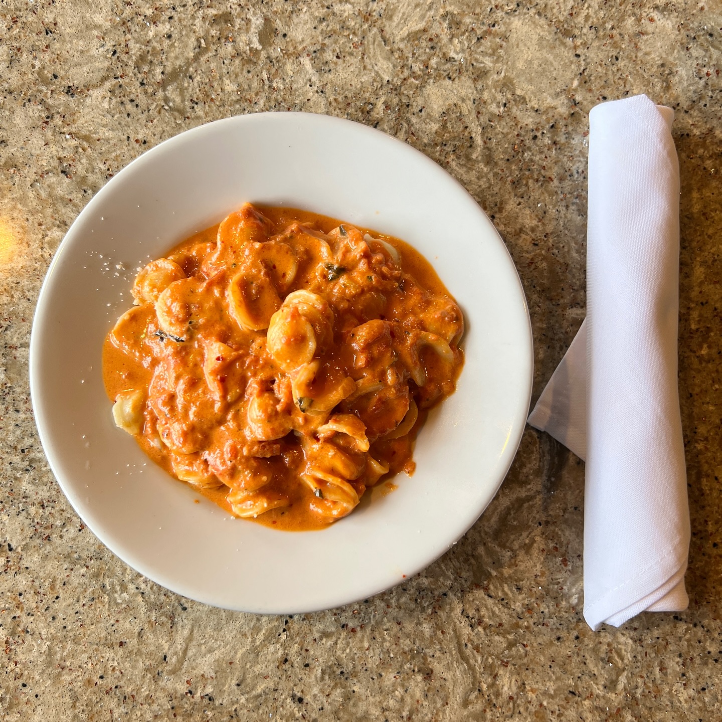 Orecchiette pasta in spicy creamy tomato sauce